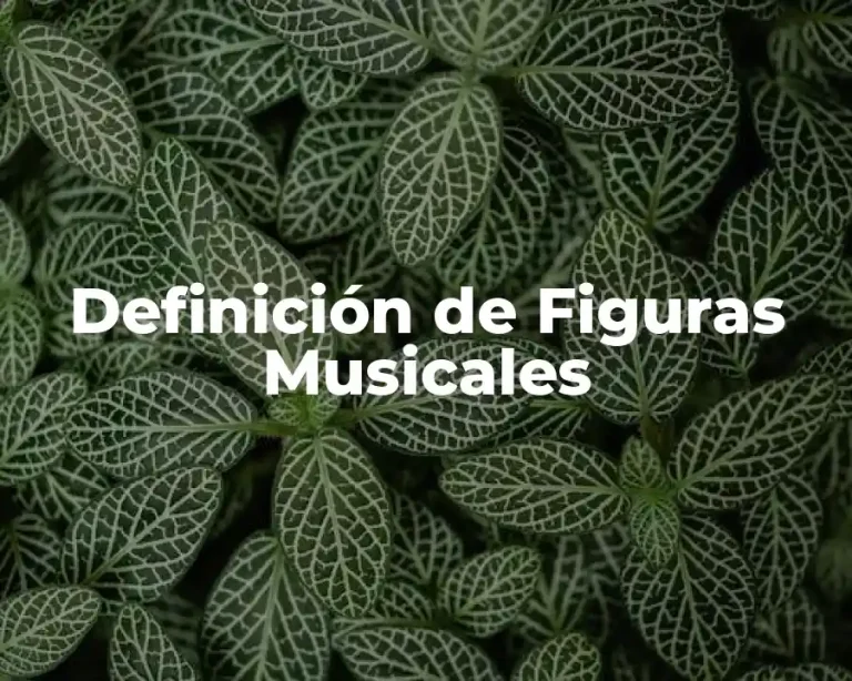 Definición de Figuras Musicales