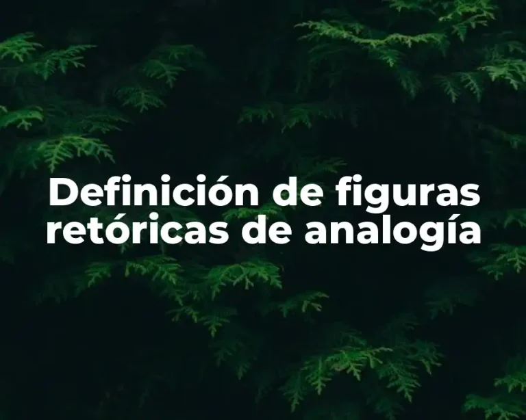 Definición de figuras retóricas de analogía