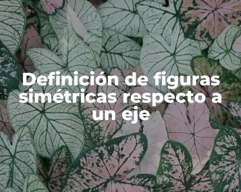 Definición de figuras simétricas respecto a un eje