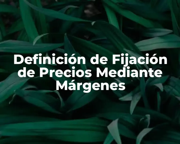 Definición de Fijación de Precios Mediante Márgenes