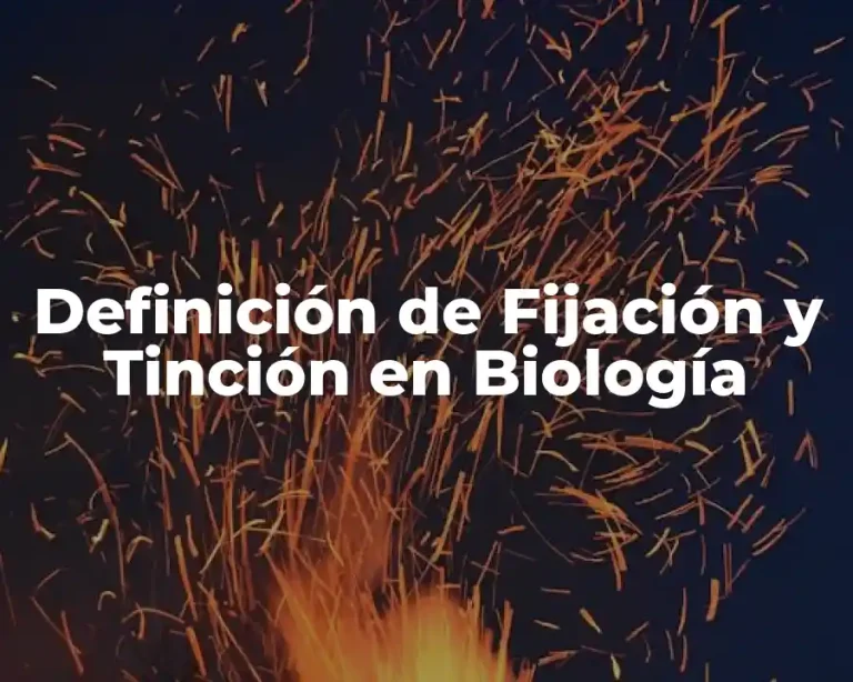Definición de Fijación y Tinción en Biología