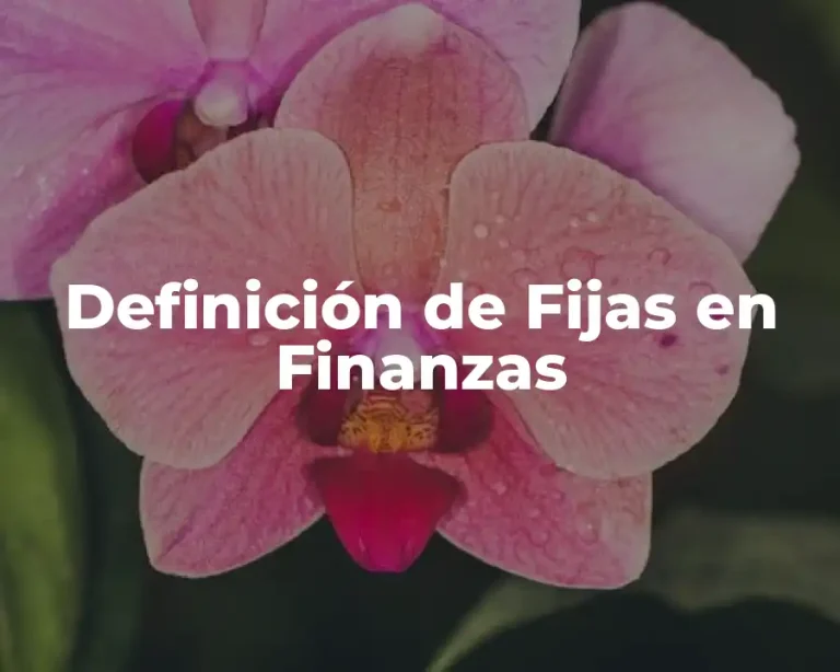 Definición de Fijas en Finanzas