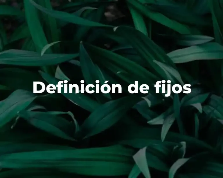 Definición de fijos