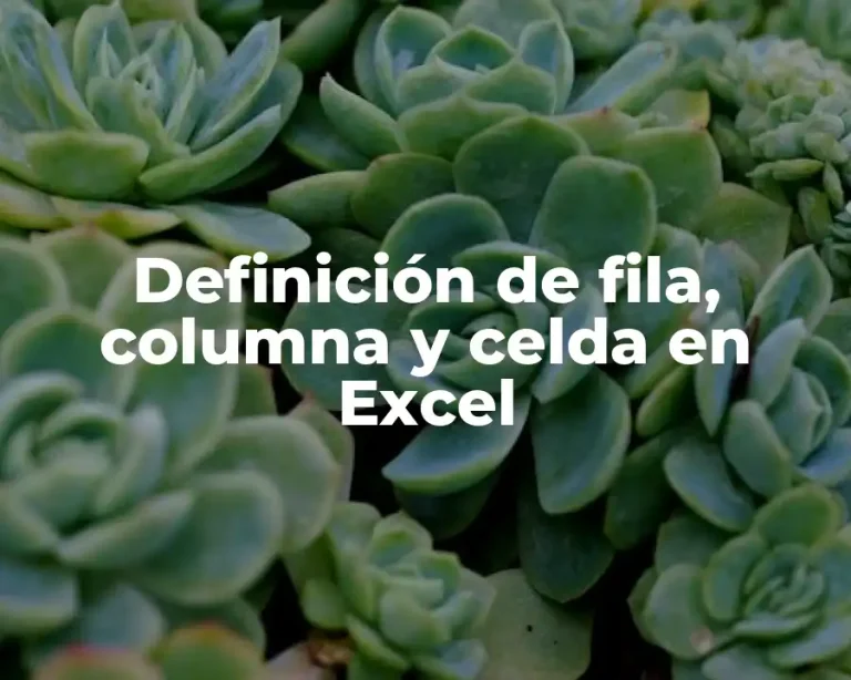 Definición de fila, columna y celda en Excel