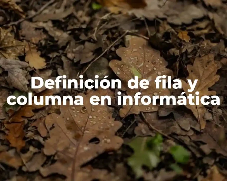 Definición de fila y columna en informática