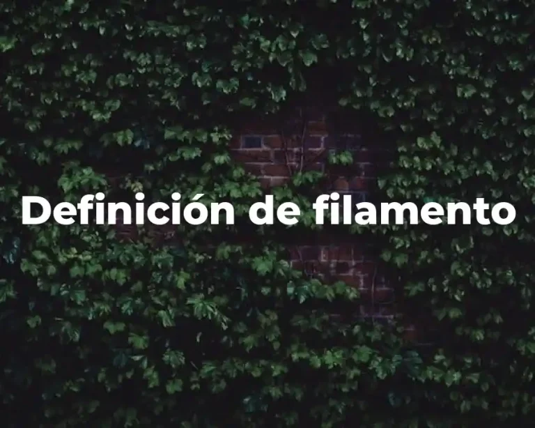 Definición de filamento