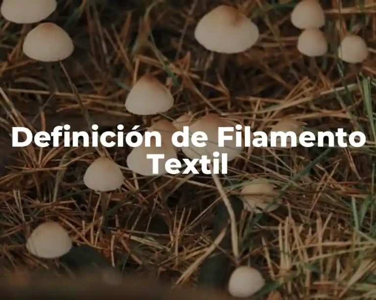 Definición de Filamento Textil