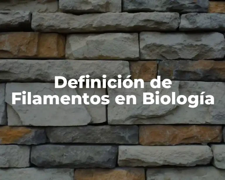 Definición de Filamentos en Biología