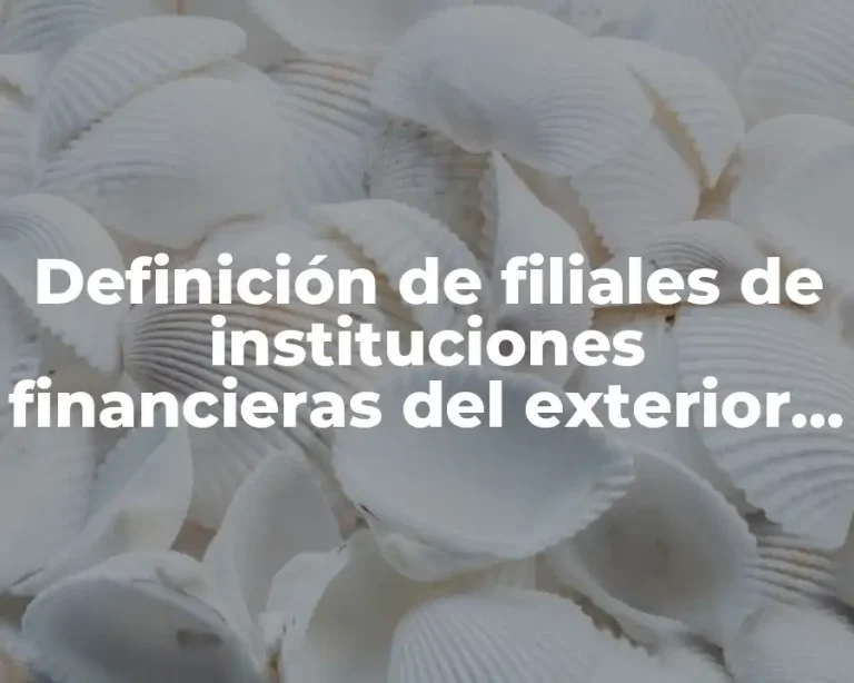 Definición de filiales de instituciones financieras del exterior de México