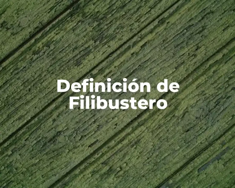 Definición de Filibustero