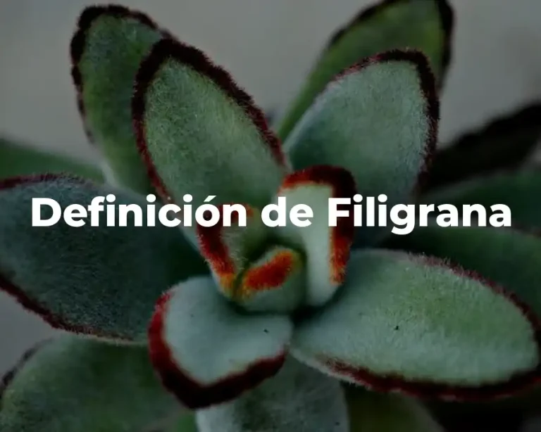 Definición de Filigrana