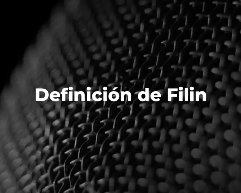 Definición de Filin