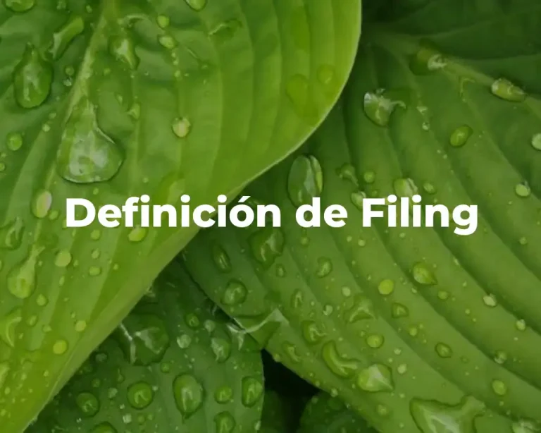 Definición de Filing