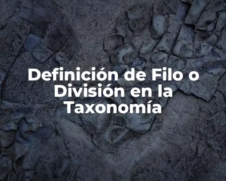 Definición de Filo o División en la Taxonomía