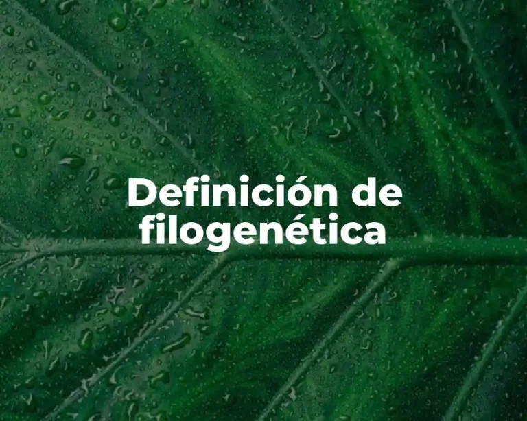 Definición de filogenética