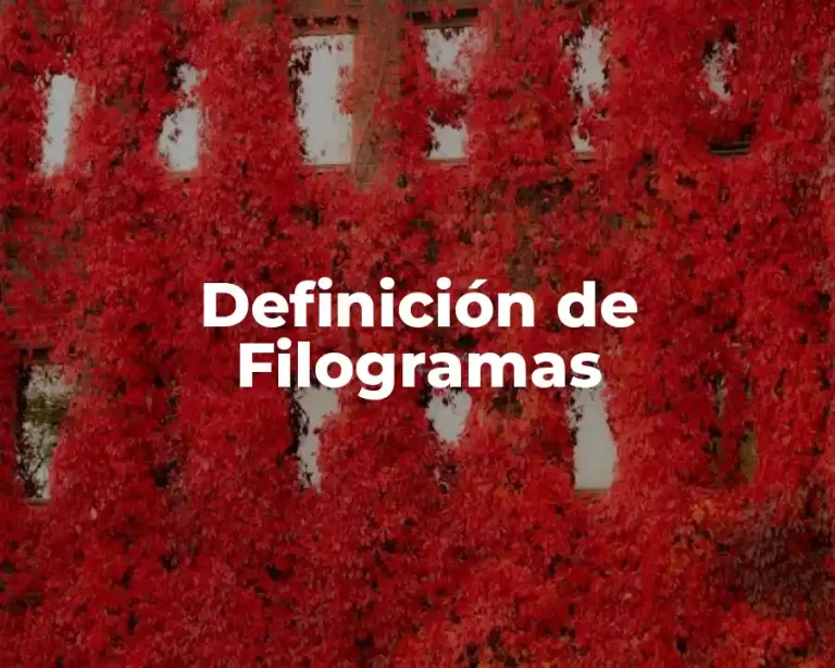 Definición de Filogramas
