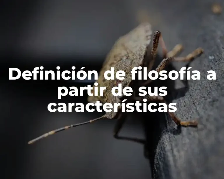 Definición de filosofía a partir de sus características