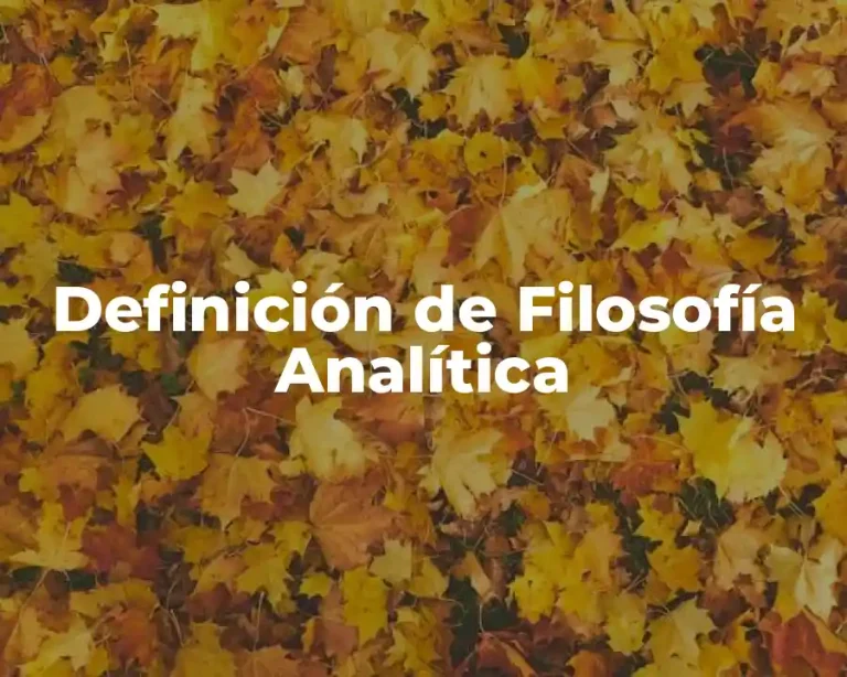 Definición de Filosofía Analítica