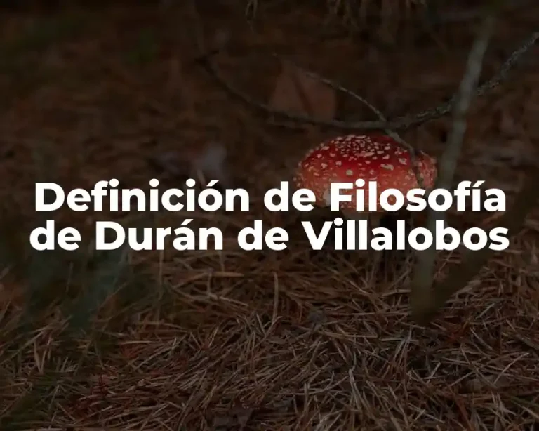 Definición de Filosofía de Durán de Villalobos