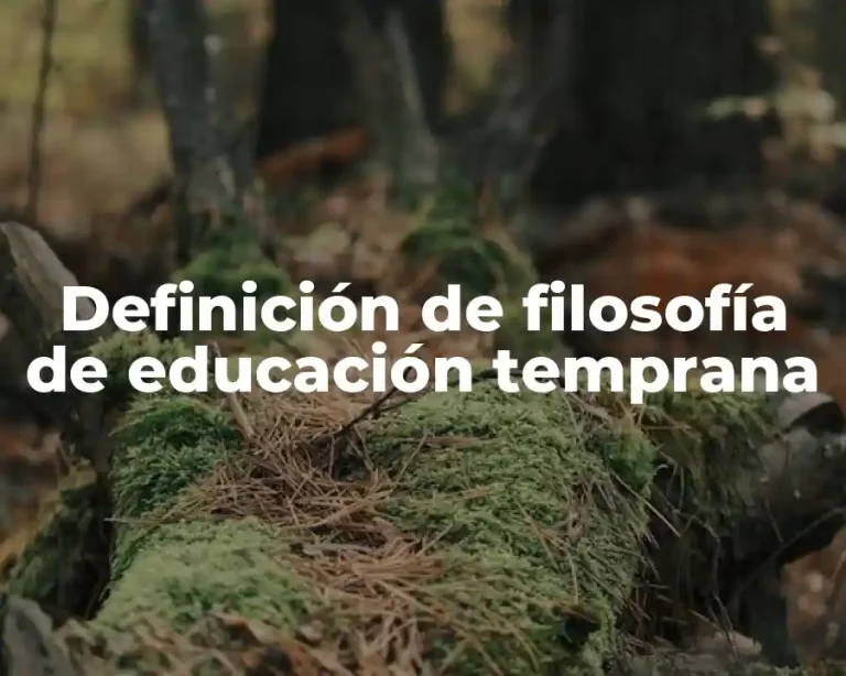 Definición de filosofía de educación temprana