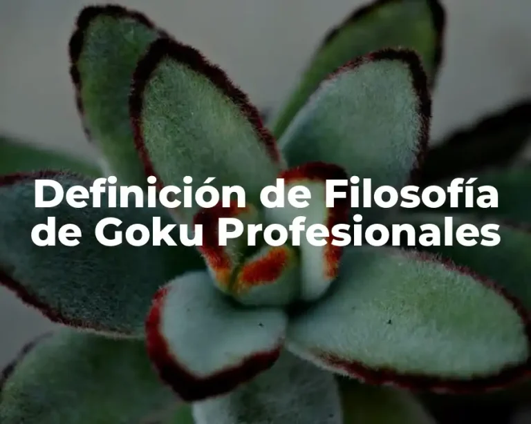 Definición de Filosofía de Goku Profesionales