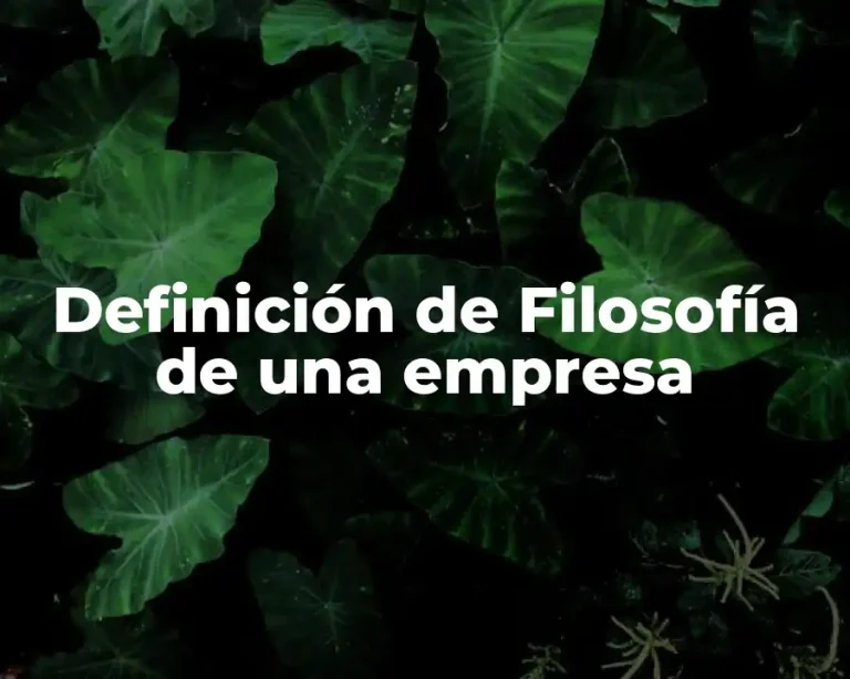 Definición de Filosofía de una empresa