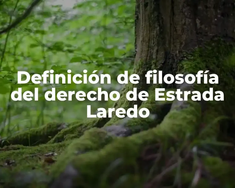 Definición de filosofía del derecho de Estrada Laredo