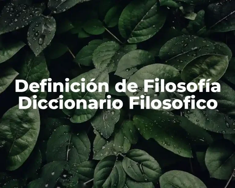 Definición de Filosofía Diccionario Filosofico