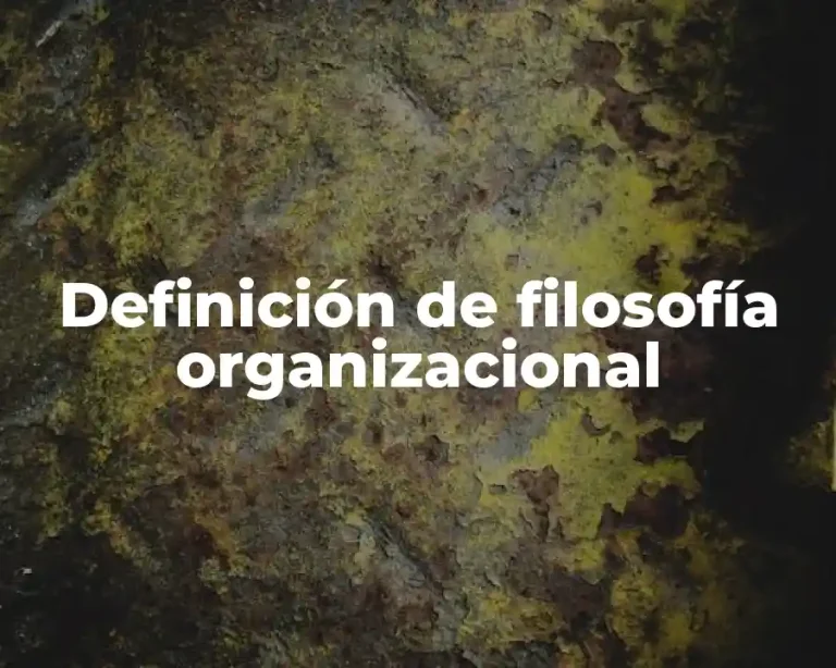 Definición de filosofía organizacional