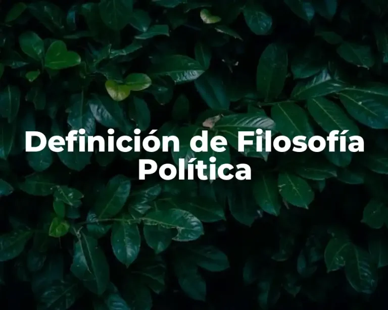 Definición de Filosofía Política