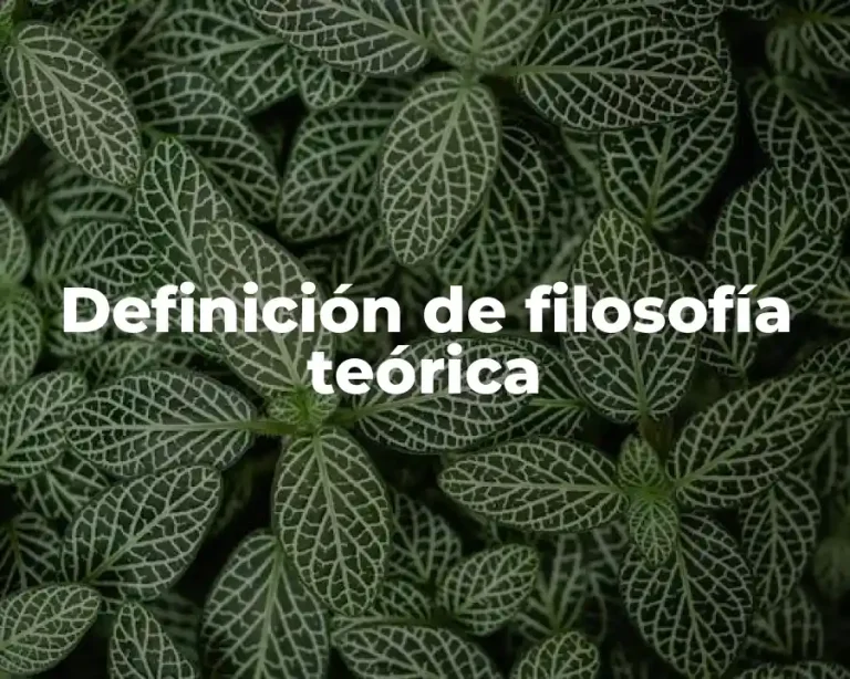 Definición de filosofía teórica