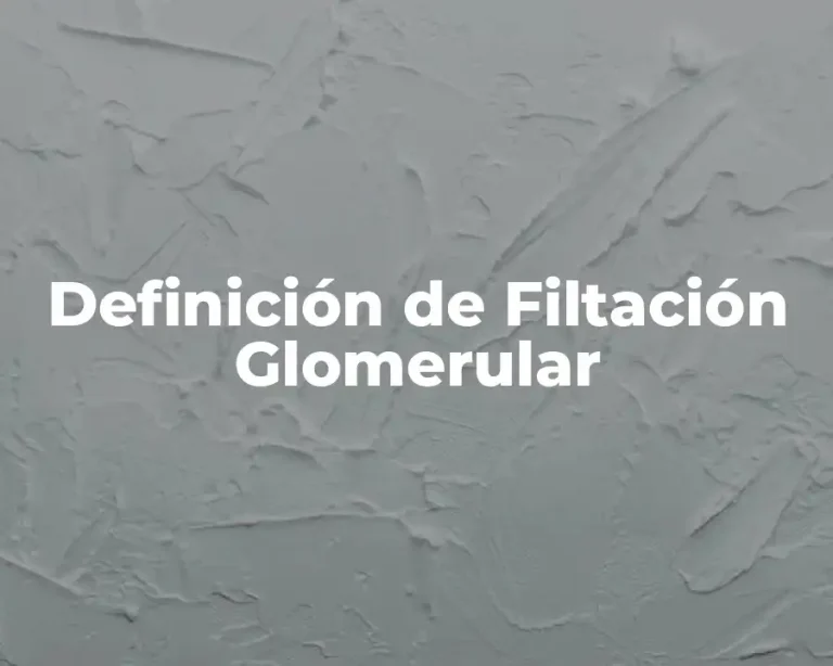 Definición de Filtación Glomerular