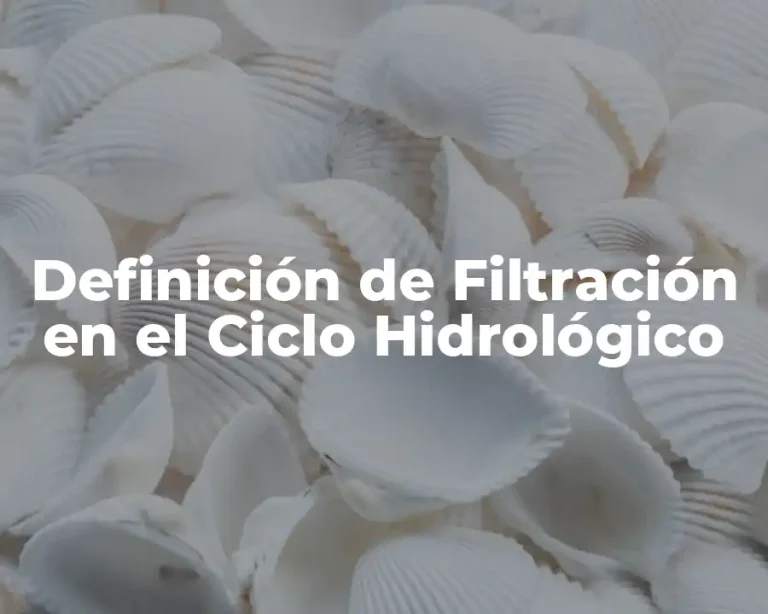 Definición de Filtración en el Ciclo Hidrológico
