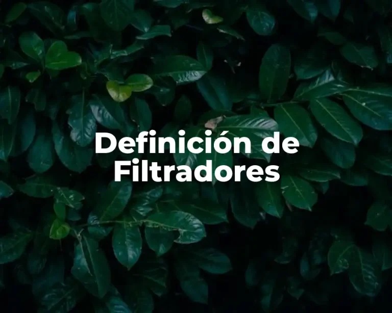 Definición de Filtradores