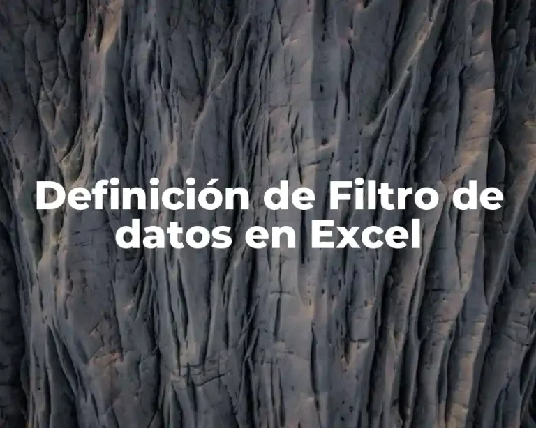 Definición de Filtro de datos en Excel