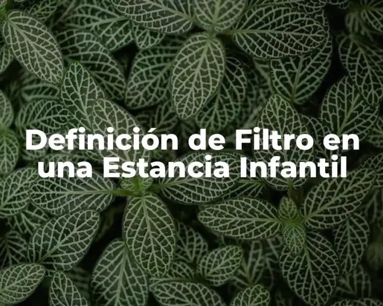 Definición de Filtro en una Estancia Infantil