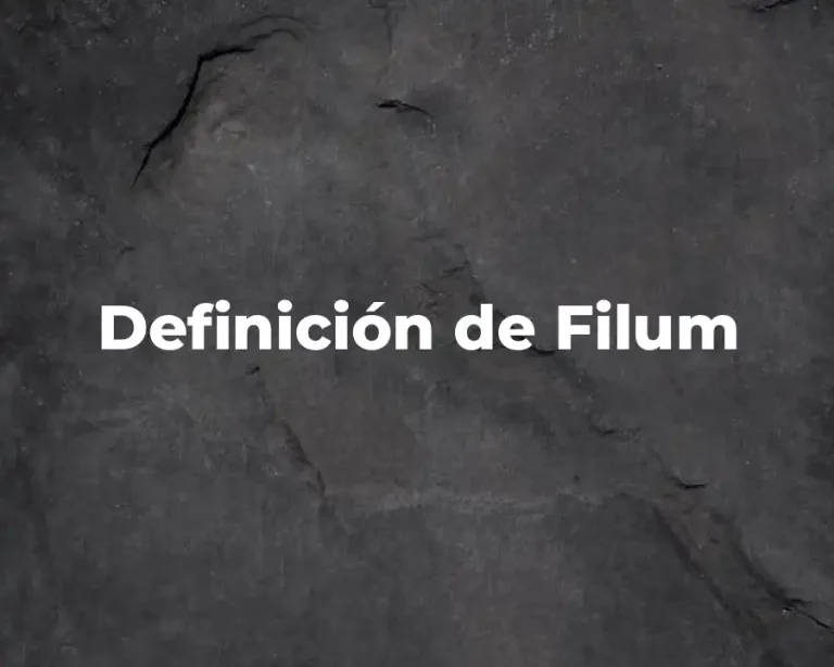 Definición de Filum