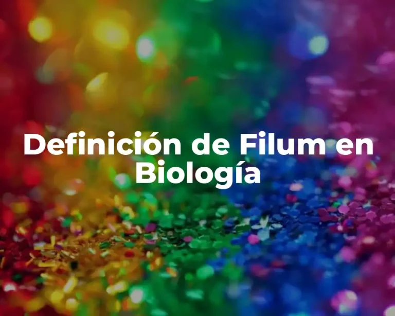 Definición de Filum en Biología