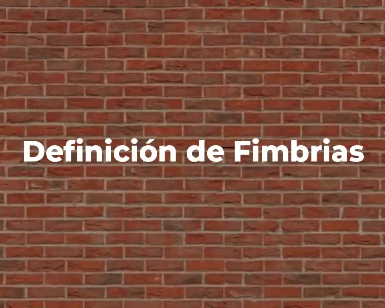 Definición de Fimbrias