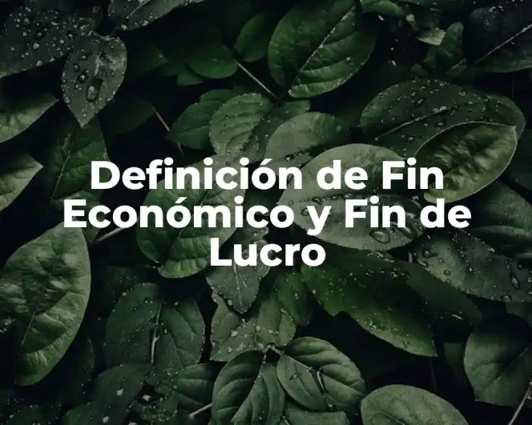 Definición de Fin Económico y Fin de Lucro