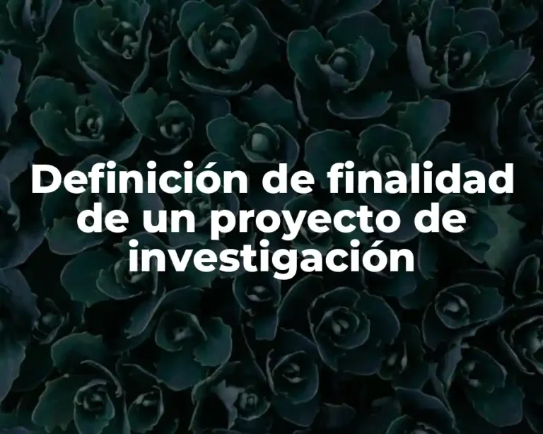 Definición de finalidad de un proyecto de investigación