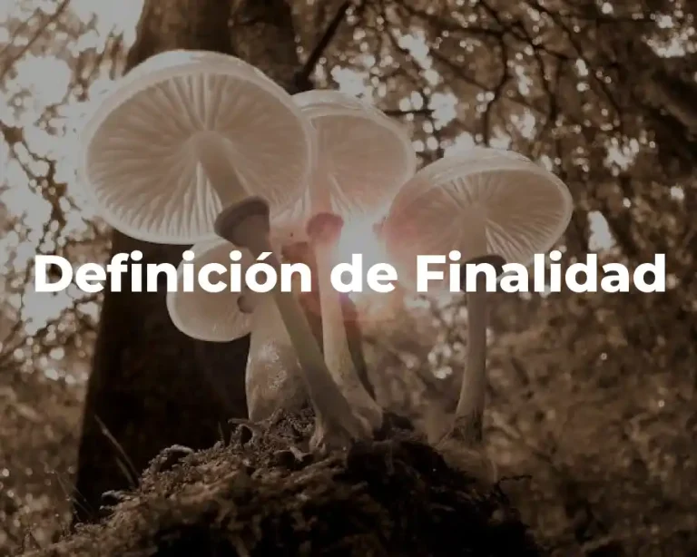 Definición de Finalidad
