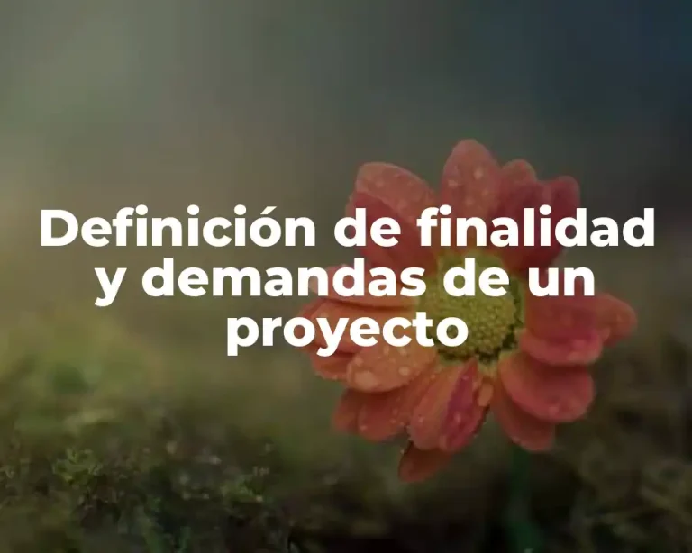 Definición de finalidad y demandas de un proyecto