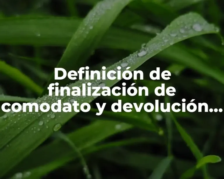 Definición de finalización de comodato y devolución de inmueble