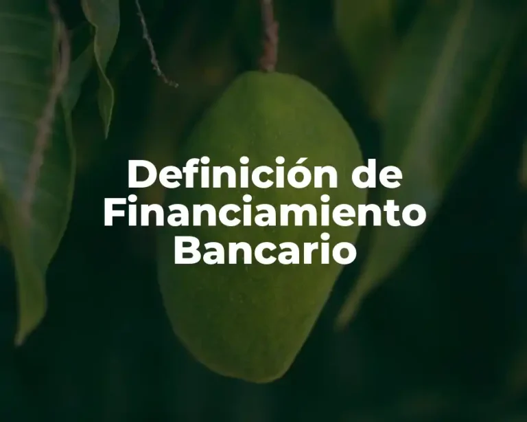 Definición de Financiamiento Bancario