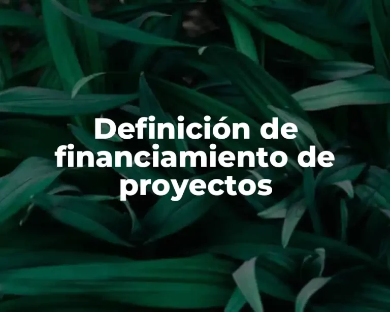 Definición de financiamiento de proyectos