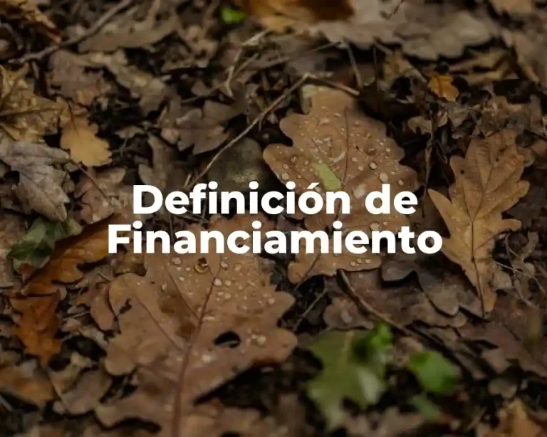 Definición de Financiamiento