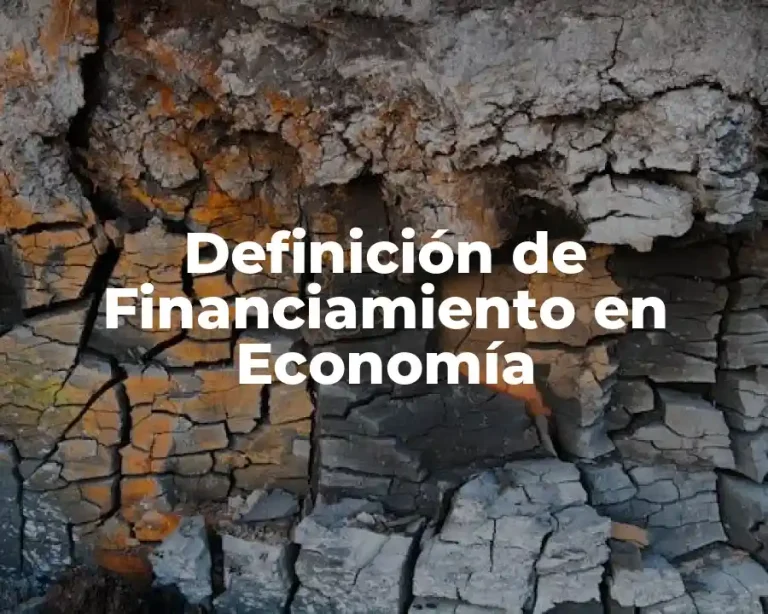Definición de Financiamiento en Economía
