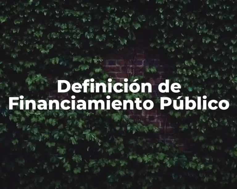 Definición de Financiamiento Público