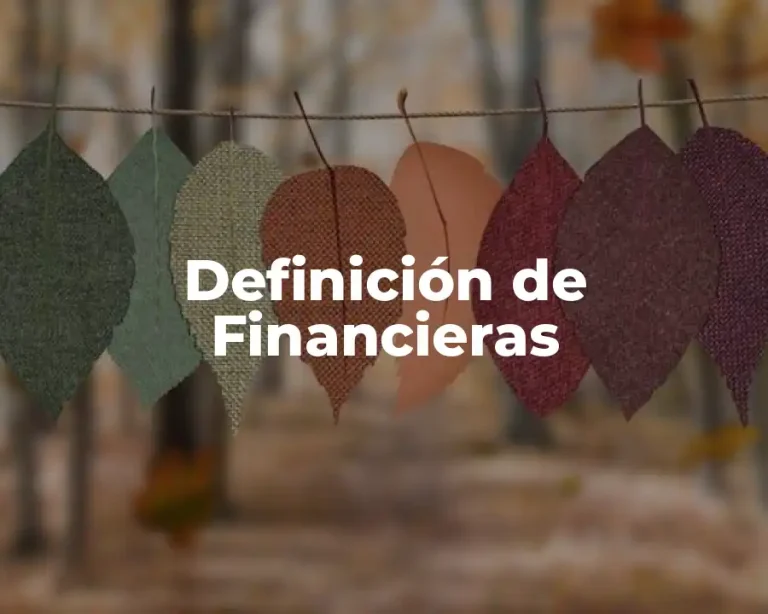 Definición de Financieras